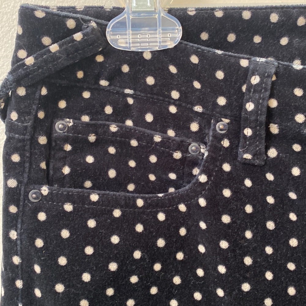 Free People velvet pants
